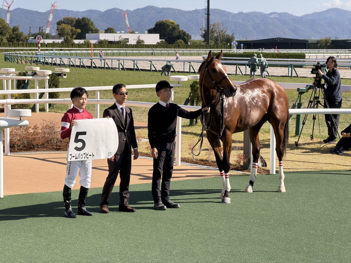 ブームバップビート、京都競馬で快勝！今後の活躍は？