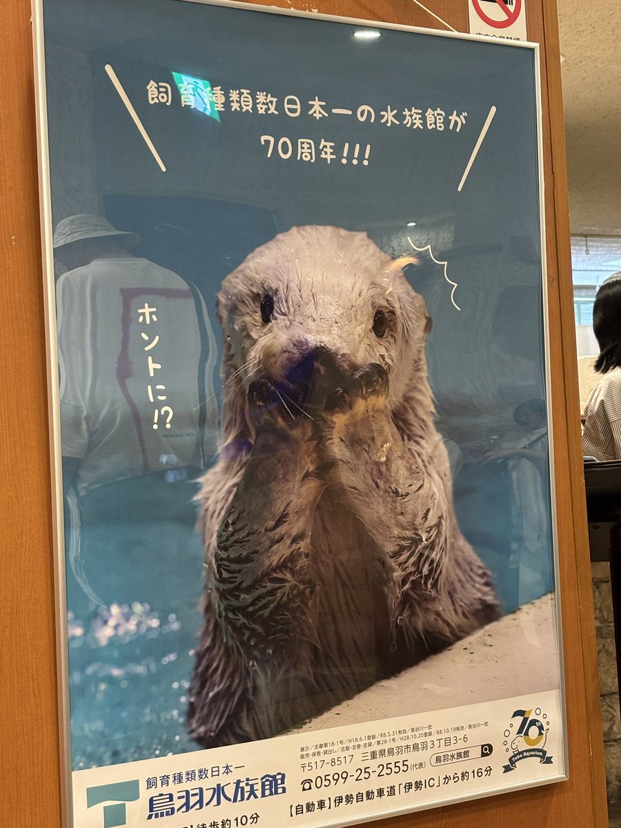 鳥羽水族館 トレカ」のYahoo!リアルタイム検索 - X（旧Twitter