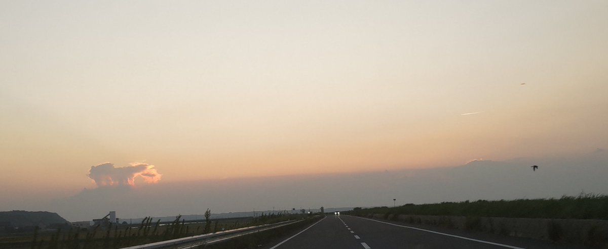 たまま XDR™ | SRAM ROAD | 株式会社Many'S メニーズ