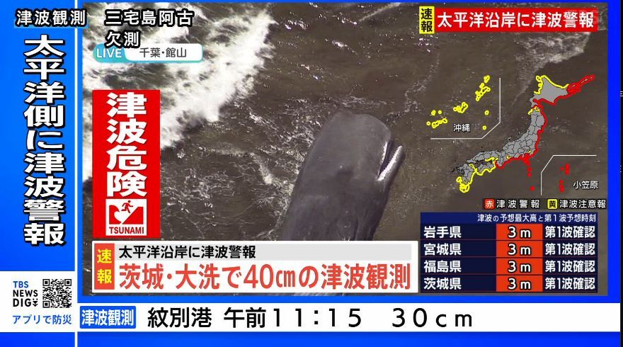朝日のクジラのジャンプ X（旧Twitter）で話題のおもしろ画像や動画 - Yahoo