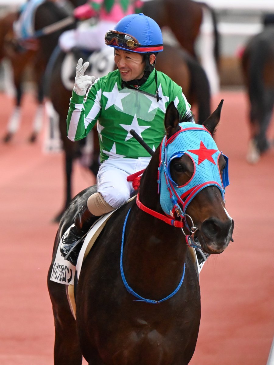 タイキエクセロン、阪神12Rで激走！ファン歓喜の2着入線