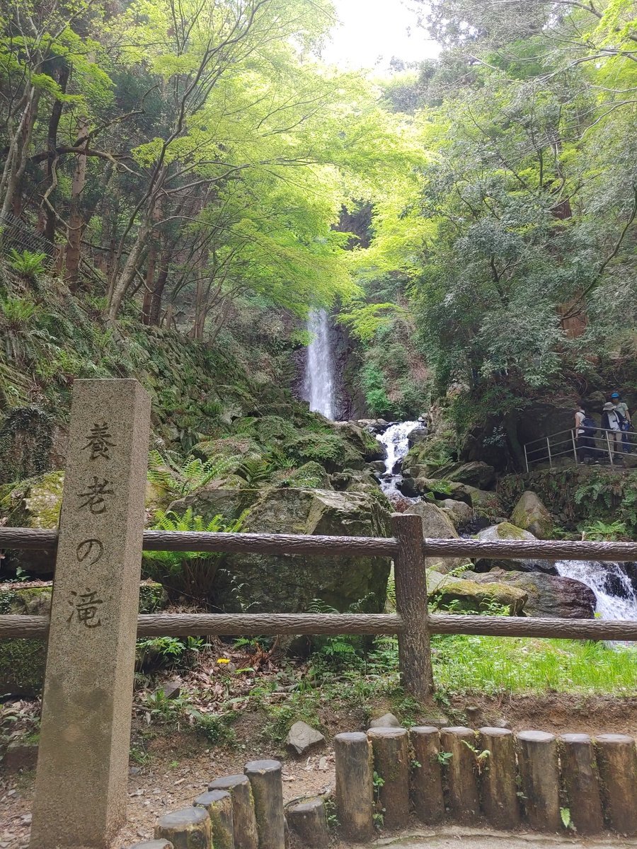 養老の滝」のYahoo!リアルタイム検索 - X（旧Twitter）を