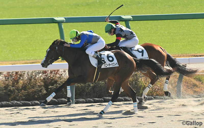 ハニーオーケストラ、中山競馬で初勝利！ファン歓喜