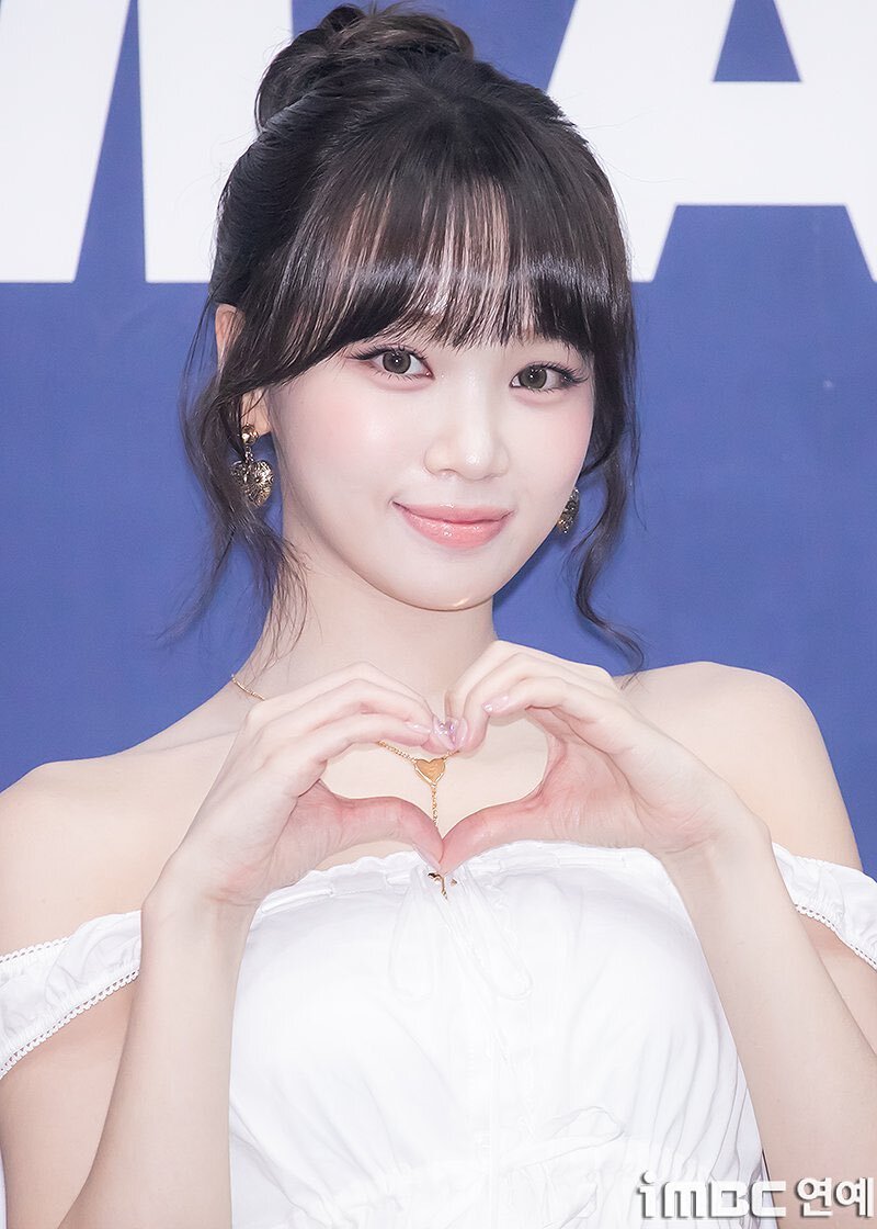 チェウォン様 ②ページ目 image-688b24928715d.png?crop=1