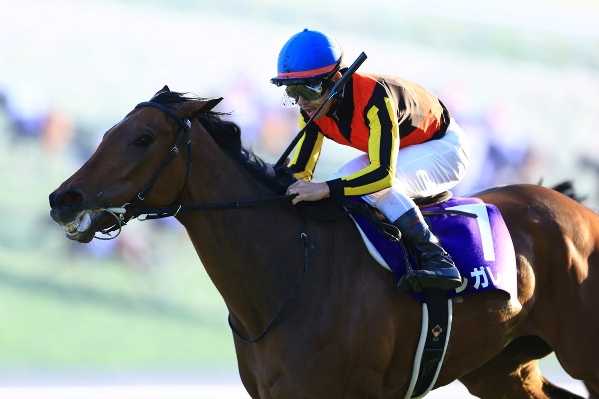 ジャパンカップレーティング発表！クロワデュノールとマスカレードボールの評価は？