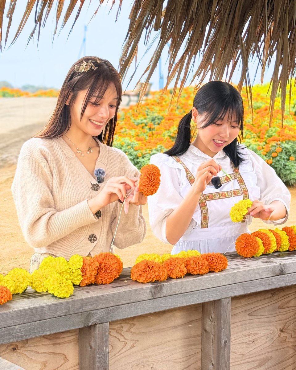 鈍器 王様のブランチ」のYahoo!リアルタイム検索 - X（旧Twitter）を