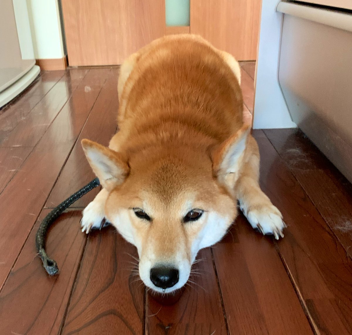 嵐コンサートと北大後期日程の重なり、受験生はホテル予約難？ 