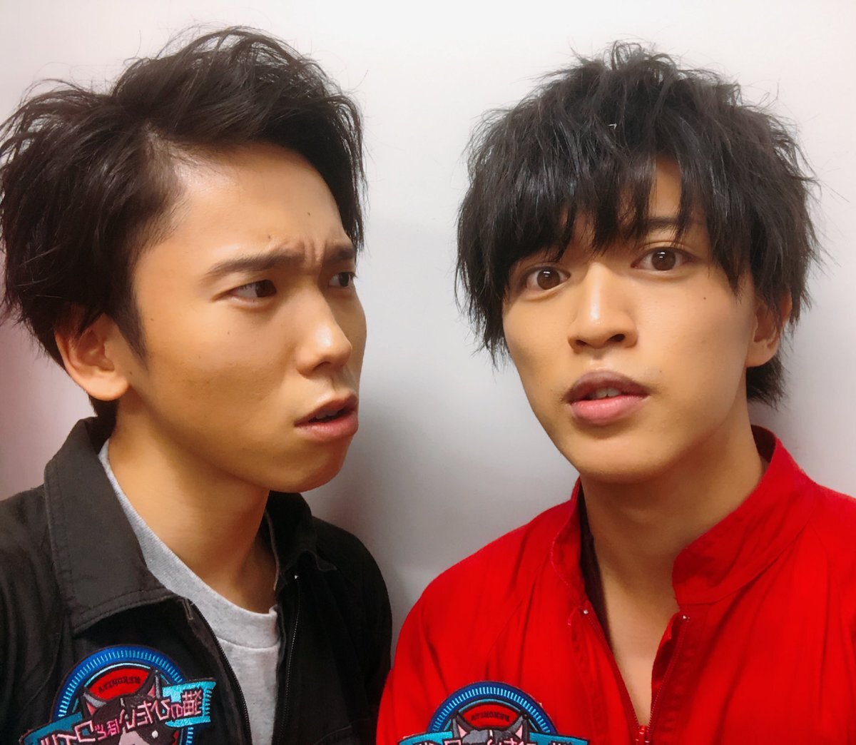 猫ひた卒業発表にファン驚きと悲しみの声