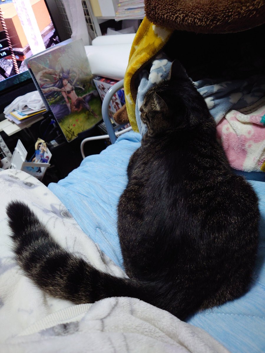 九州地方で地震発生、SNSで震度5強の報告も