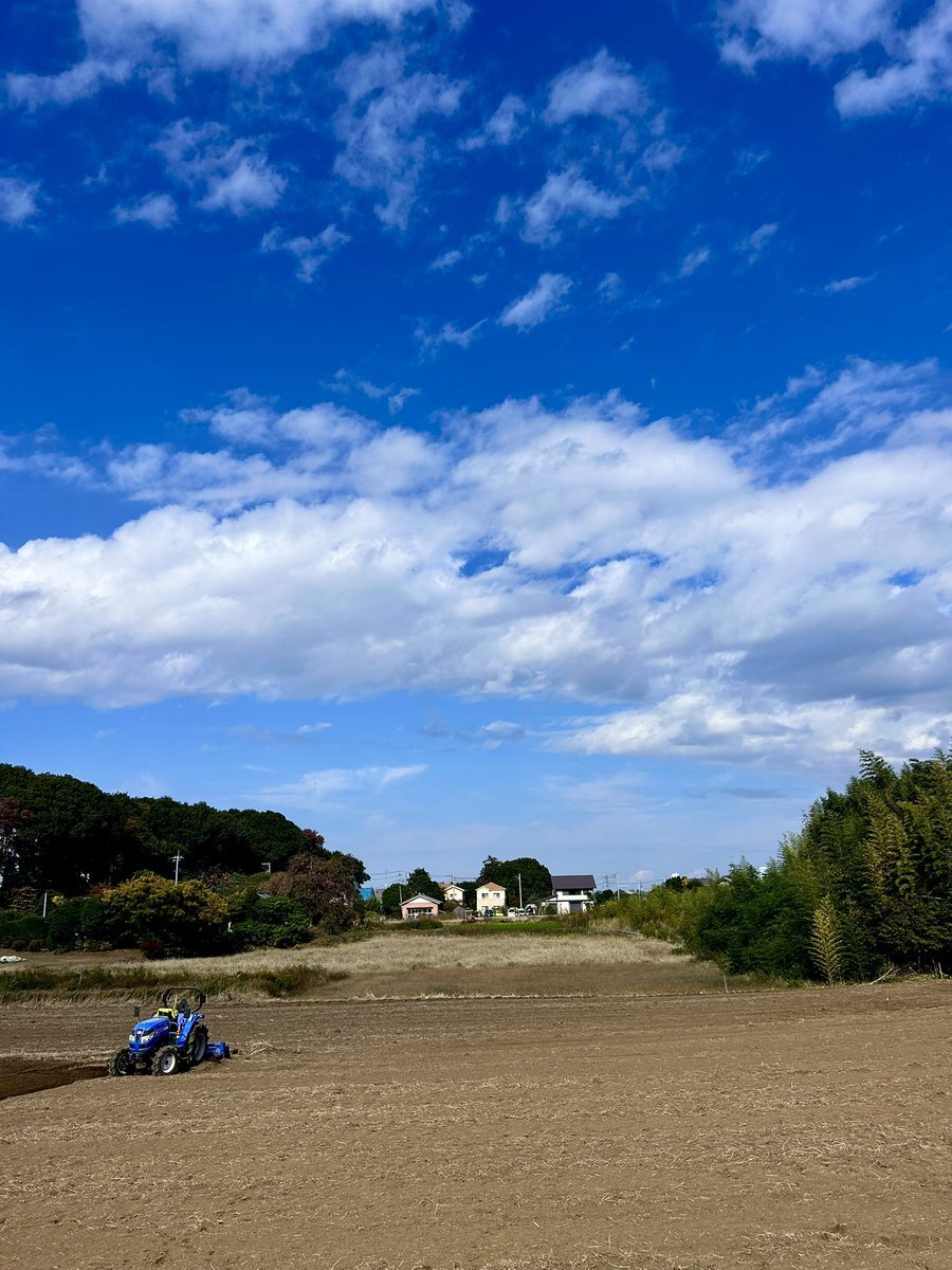 日曜日の午後、みんなはどう過ごした？