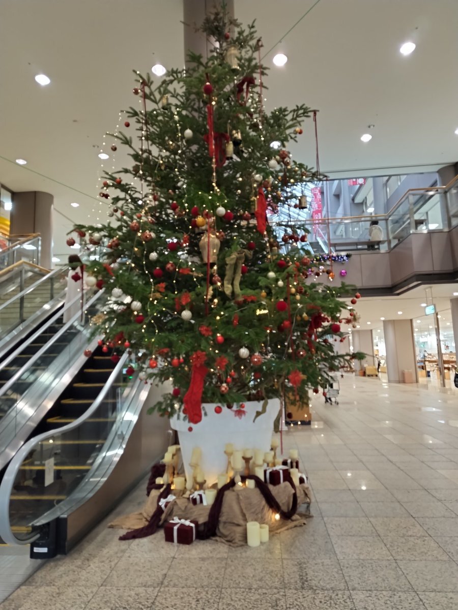 石田さんち、家族の成長に感動！視聴者「涙止まらん」