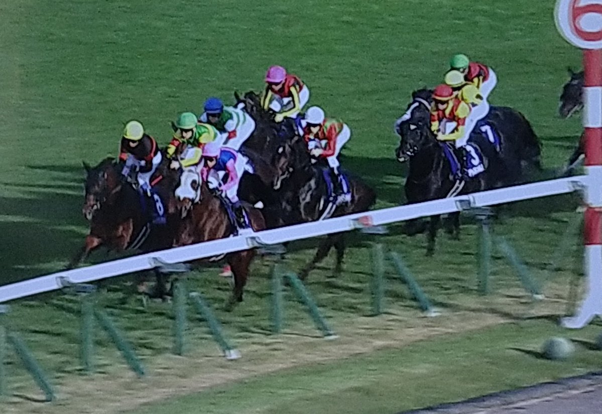 天皇賞・秋、超スロー展開でマスカレードボールが勝利！