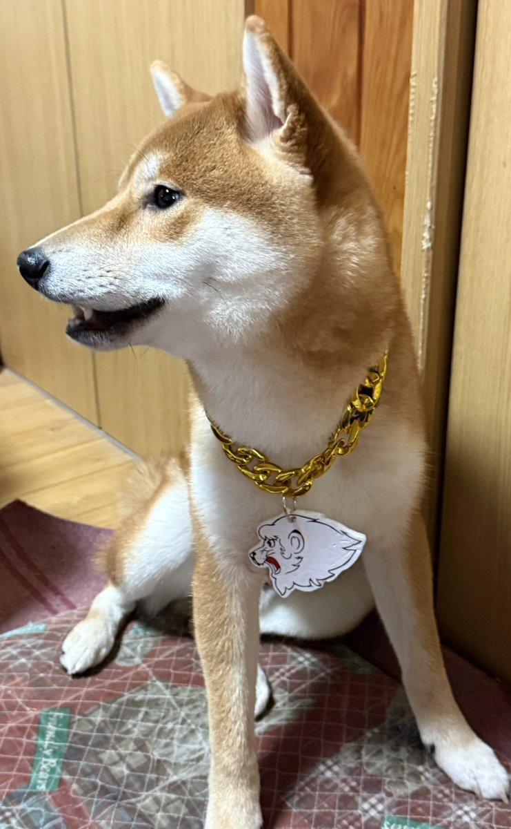 ビッグチェーンネックレス」のYahoo!リアルタイム検索 - X（旧