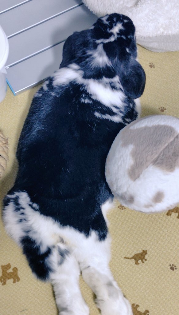 緊急地震速報、三陸沖を震源とする地震発生