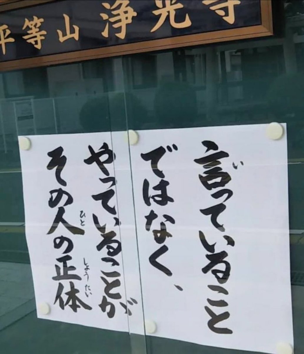 参政党安藤議員、消費税制度を質疑