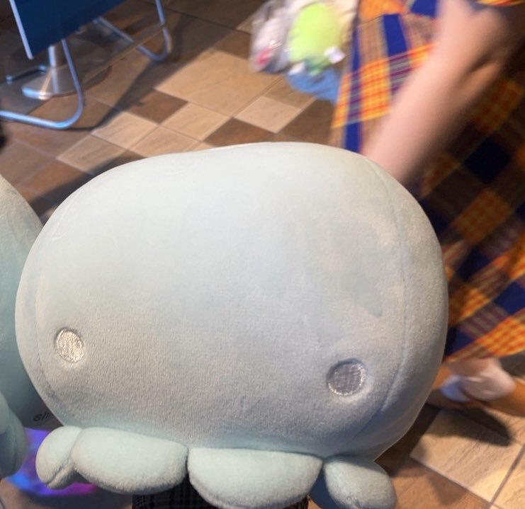 サンイシャイン水族館　くじ　ぬいぐるみ サンイシャイン水族館 くじ ぬいぐるみ