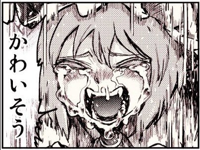 ギャラクティック・ノヴァ、エアライダーで賛否両論 