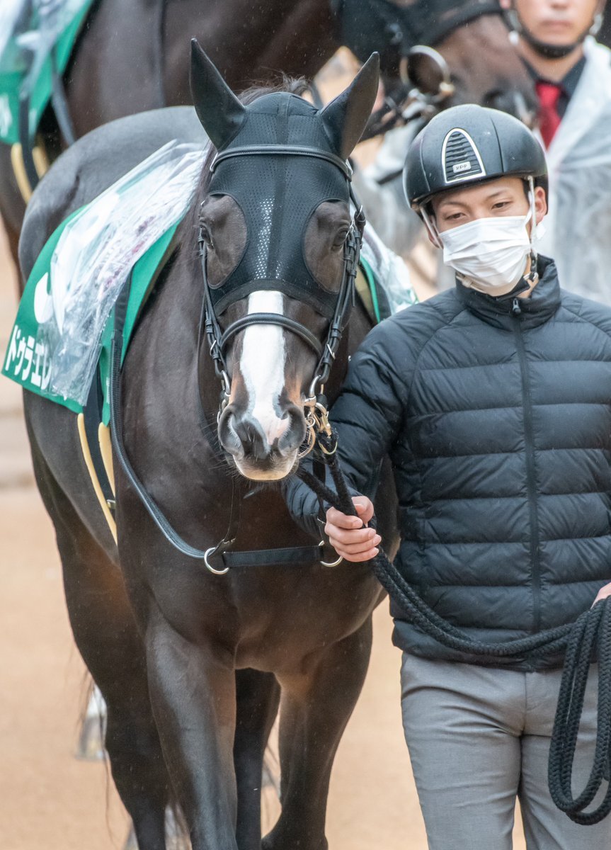 ドゥラエレーデ、みやこSは5着！今後の活躍は？