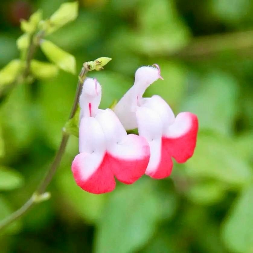 12月12日「漢字の日」！今年の漢字発表に期待が高まる