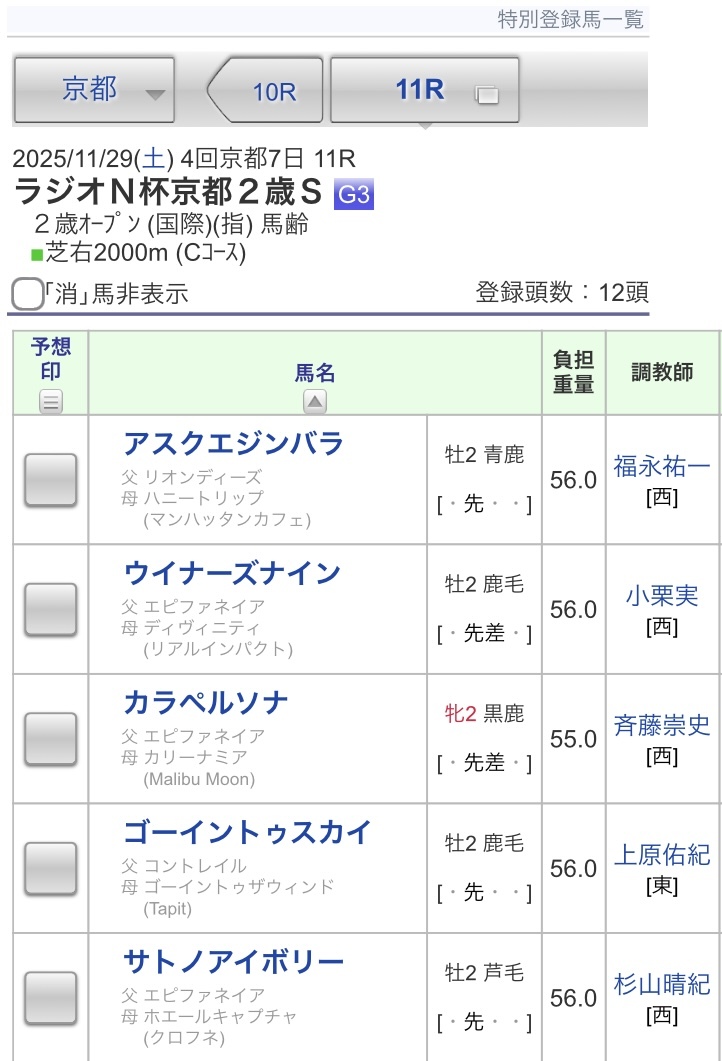 バルセシート、京都2歳ステークスでクラシック候補に！