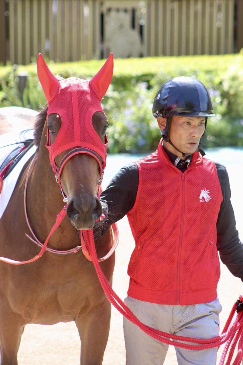 まめちゃん まめちゃん」のYahoo!リアルタイム検索 - X（旧Twitter）を