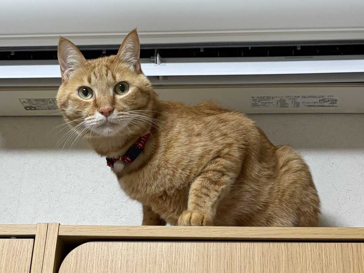 関東地方で地震発生、SNSで様々な状況が報告