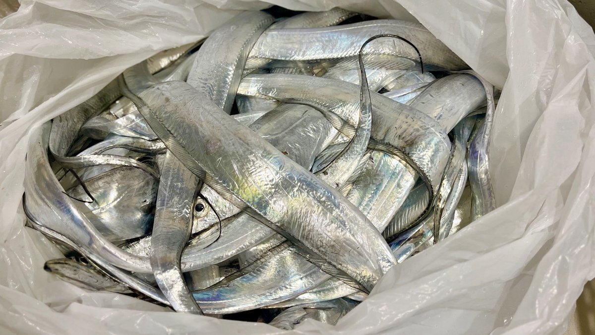 リップスライム　くじ　ファイル　バッジ　マグネット　他 リップスライム くじ ファイル バッジ マグネット 他 RIP SLYME