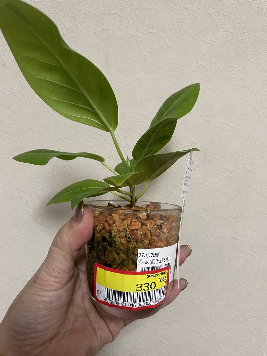 スーパーの半額シール、みんなどう思う？