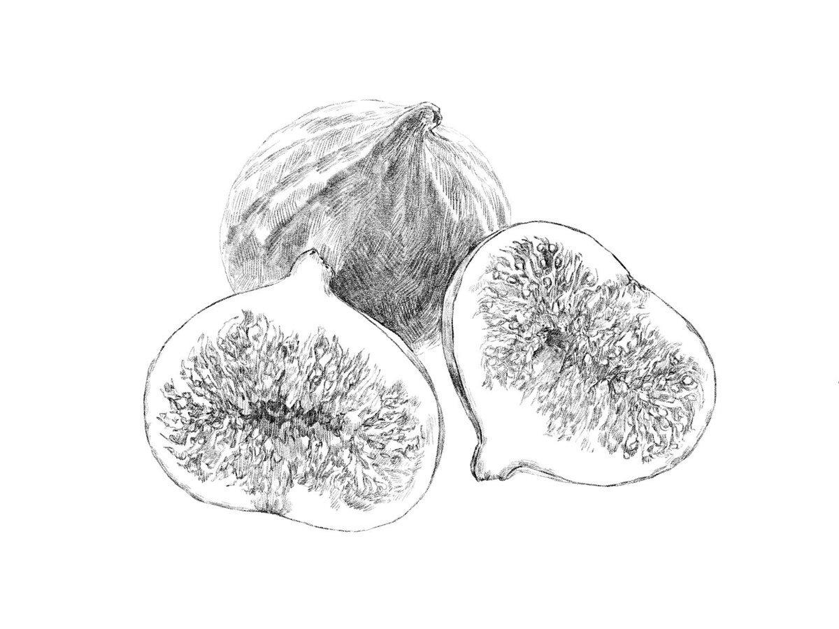 Freeillustration のtwitter検索結果 Yahoo リアルタイム検索