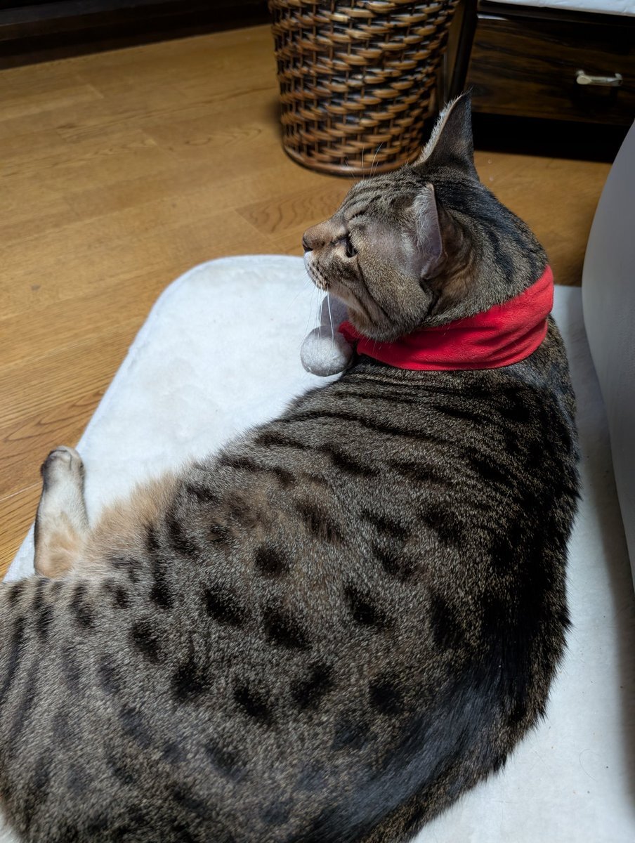 2025年12月9日、地震発生でSNSユーザーが不安の声