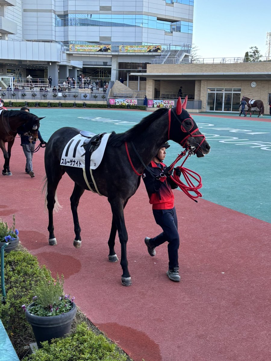 スルーザナイト、中京3Rで3着！次走に期待の声