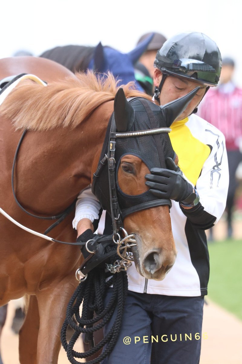 ファンシーズ、新馬戦で圧勝！SNSで喜びの声殺到