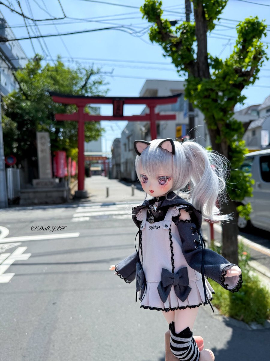 コンちゃん」のYahoo!リアルタイム検索 - X(旧Twitter)を コンちゃん」のYahoo!リアルタイム検索 - X(旧Twitter)を