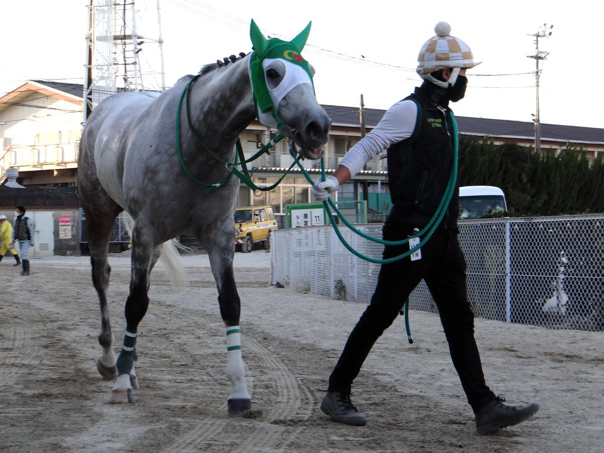 田中一」のYahoo!リアルタイム検索 - X（旧Twitter）をリアルタイム検索