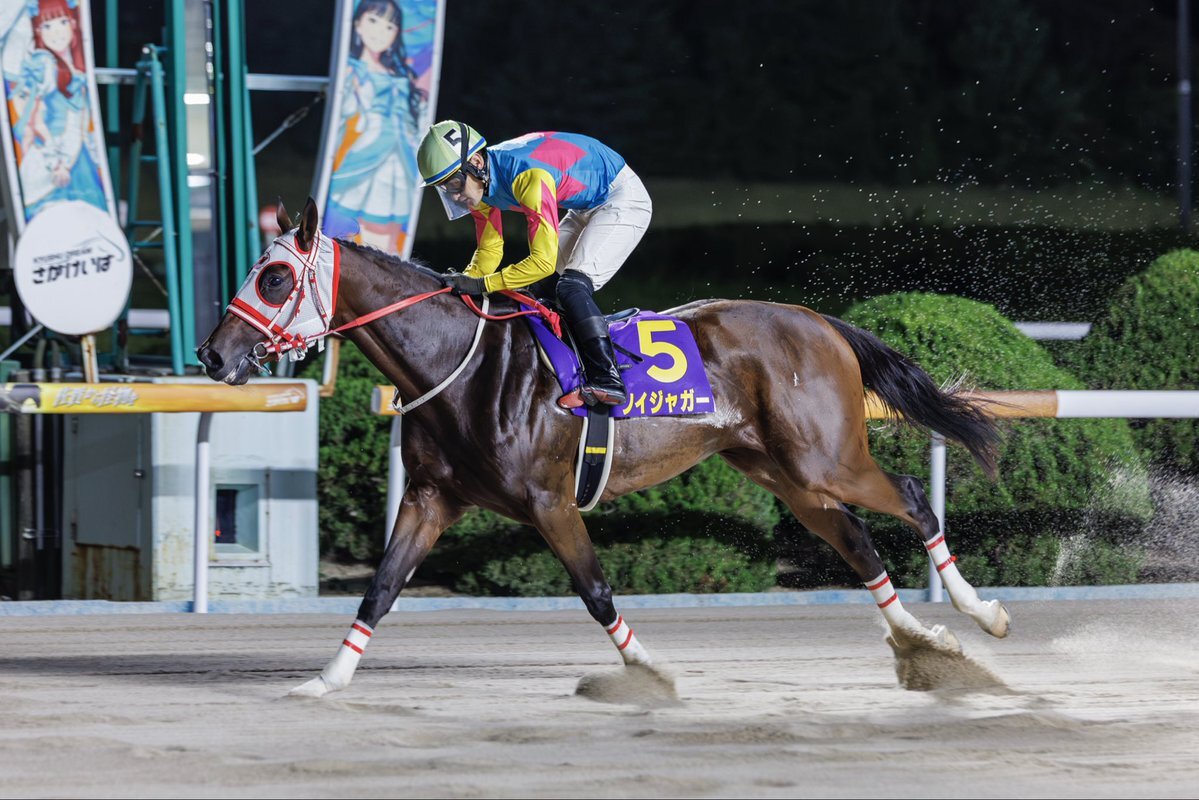 ソイジャガー、佐賀競馬で圧勝！ 5連勝の秘密は？