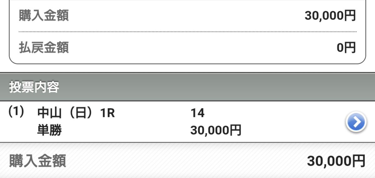 ヴェネチアンキング、中山競馬で圧勝！ ファン歓喜
