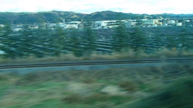 釧路湿原でメガソーラー建設へ　日本エコロジーの事業に批判の声