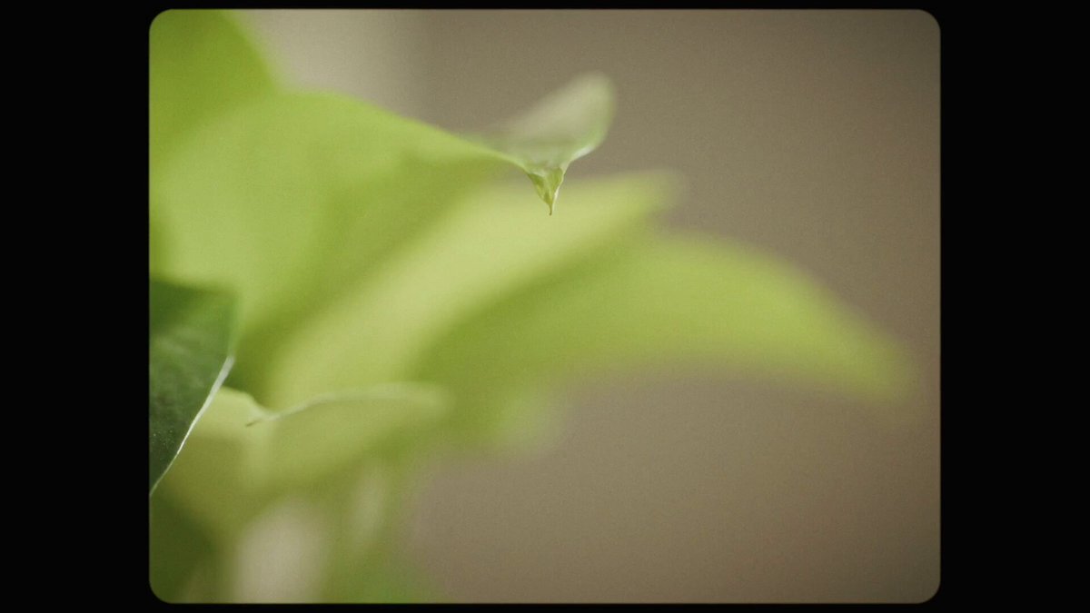 『不器用な先輩。』最終回、視聴者から様々な反応