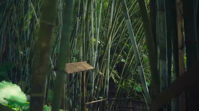 ZeeNuNew、跨年舞台への期待高まる！ファンは「愛してる」と熱いメッセージ