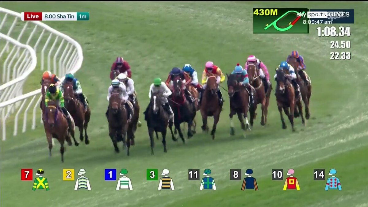 エンブロイダリー、香港マイル11着　ファンは今後の活躍を期待