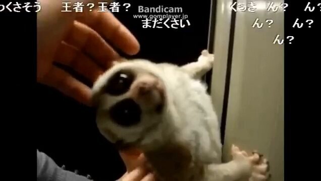 JR東日本、発車メロディ密着録音全面禁止へ  安全確保と著作権保護を重視 