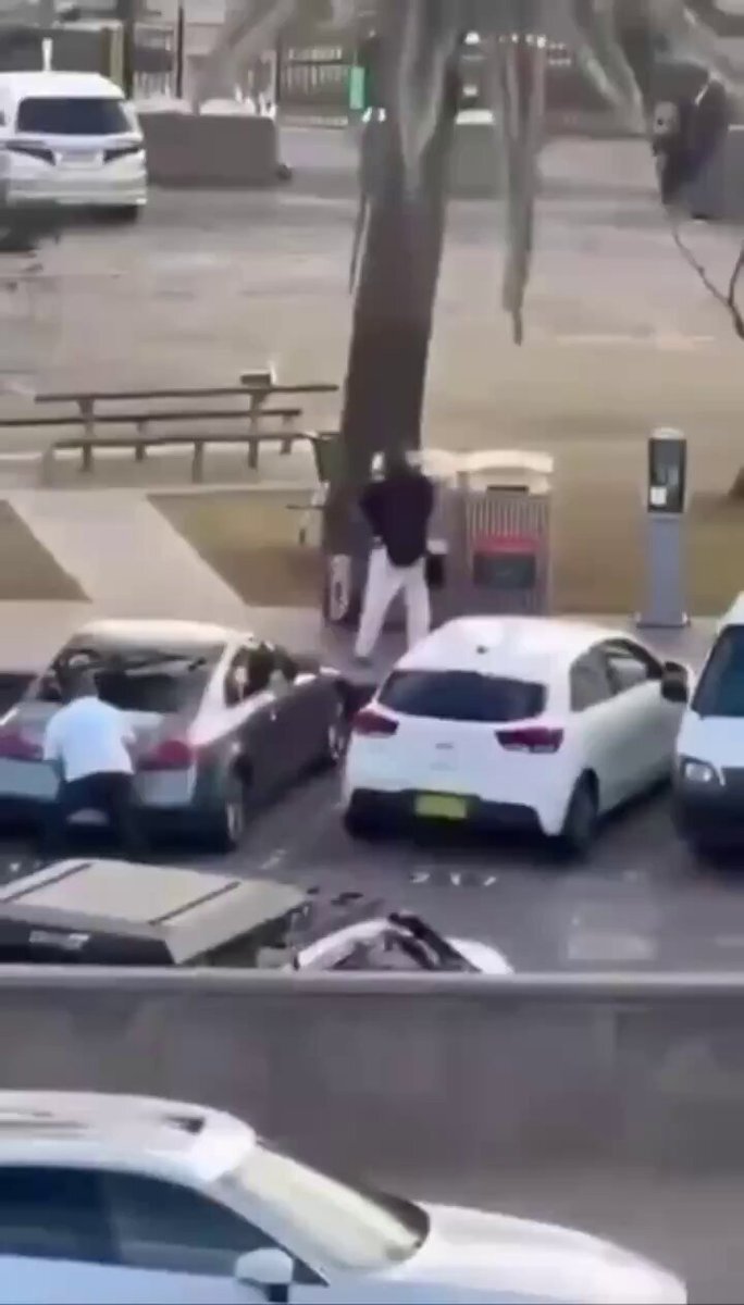 ボンダイビーチで銃撃事件、10人死亡