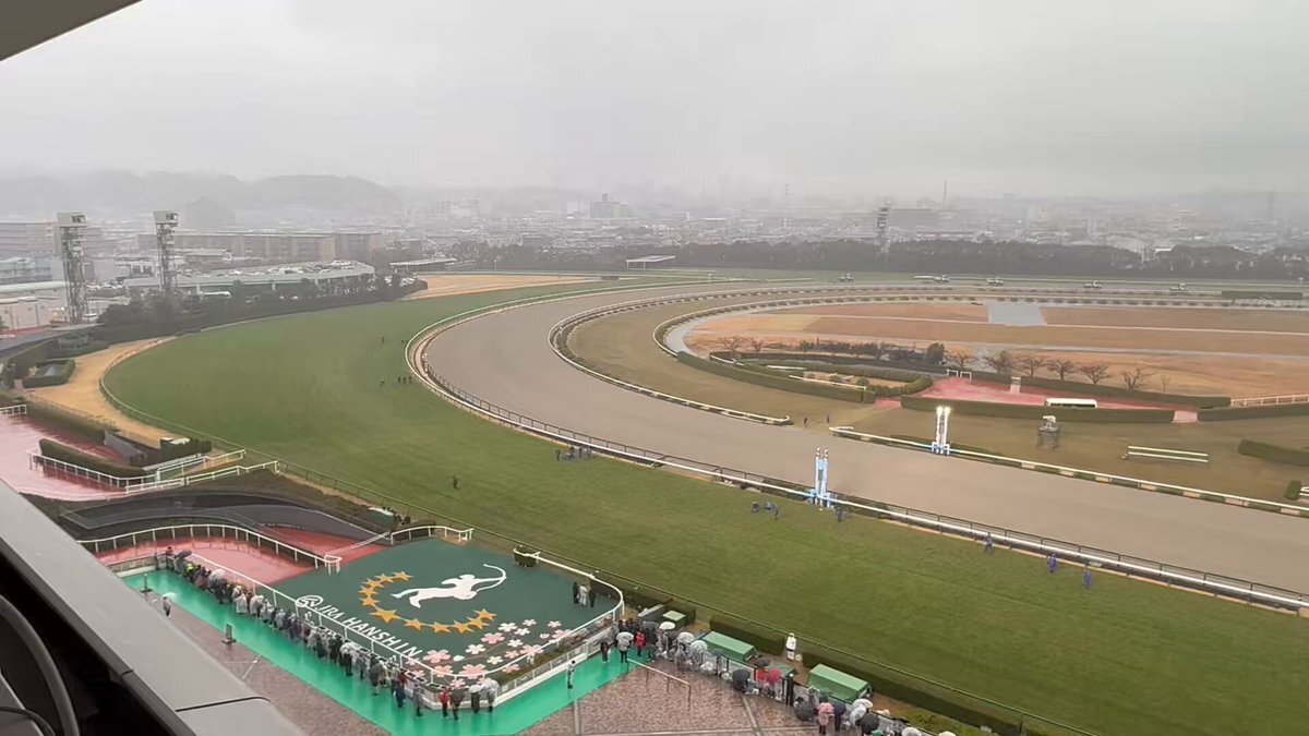 阪神競馬場、朝日杯FSに影響？強雨で馬場重