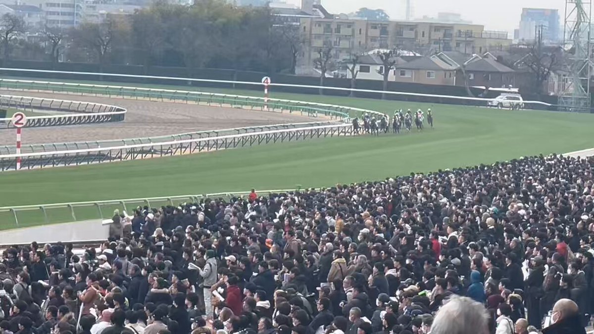 リュクスパトロール、中山新馬戦で逃げ切り勝利！
