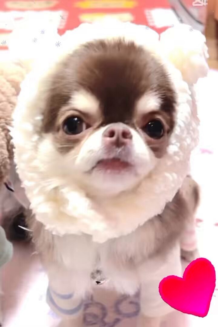 るんるん」のYahoo!リアルタイム検索 - X（旧Twitter）をリアルタイム検索