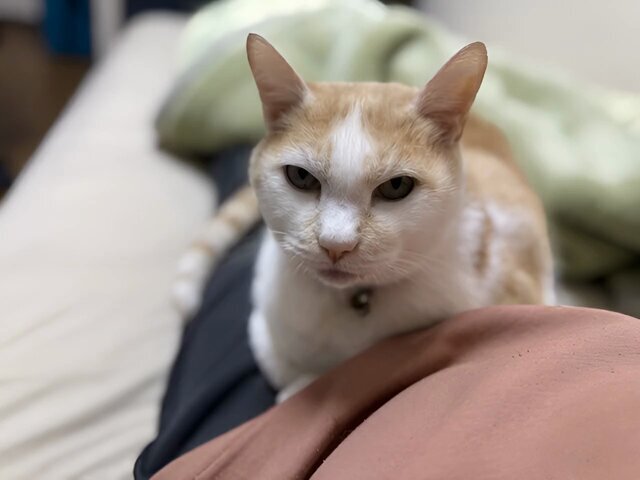 2025年最後の1週間、SNSユーザーは年末に向けての抱負を語る