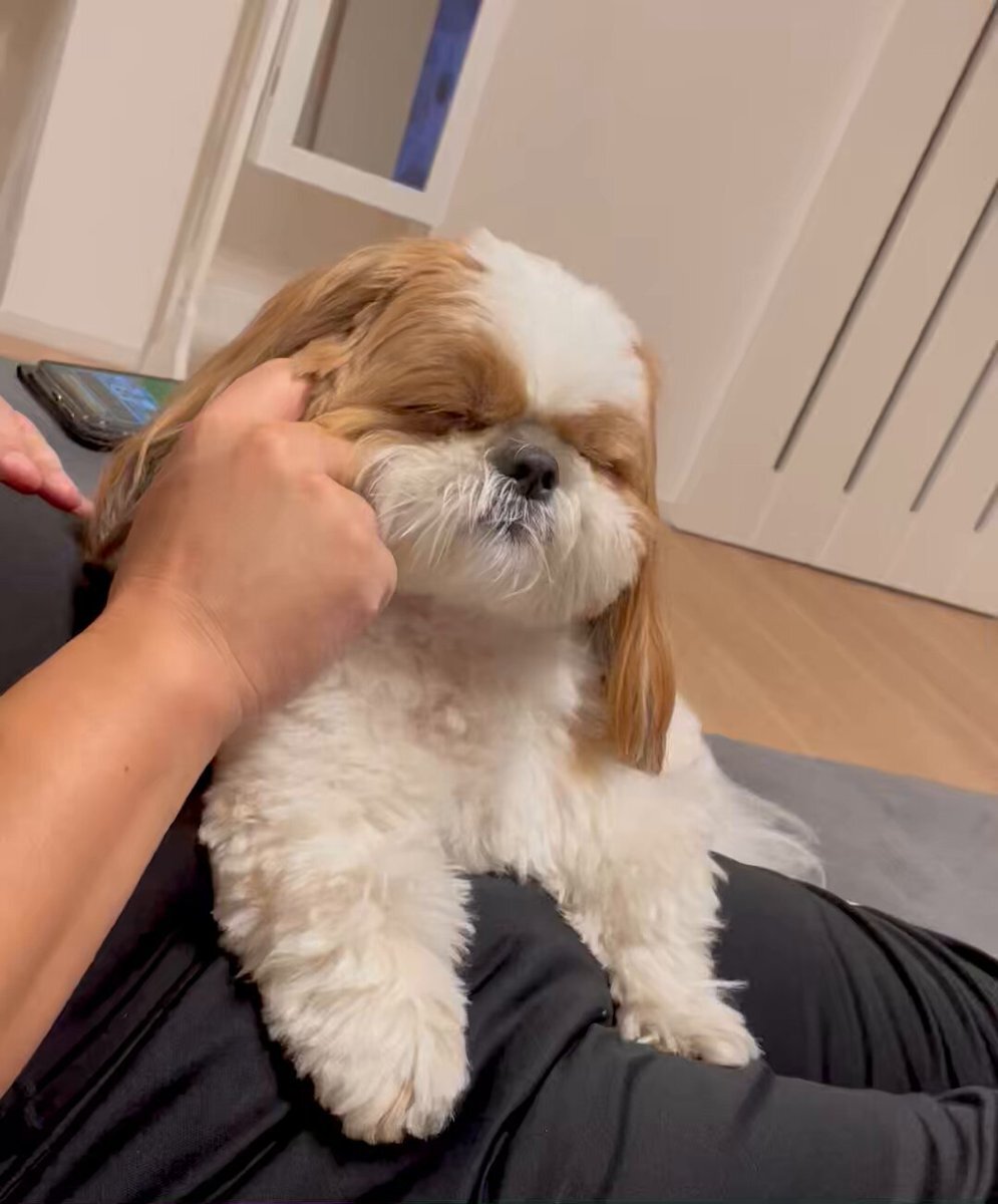 眠れない夜に寄せられる共感と、様々な対処法