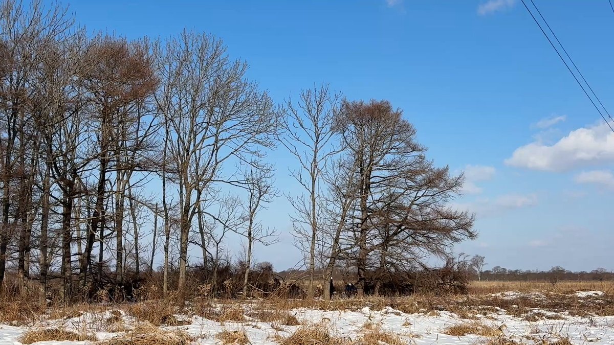 釧路湿原メガソーラー建設、地元住民と日本エコロジーの対立激化