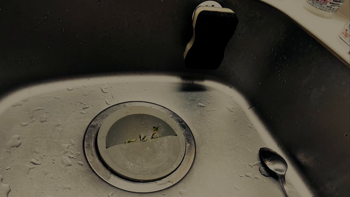 MINOさま確認ページ♡ 猫乃ミーナ🎀🐾 on X: 