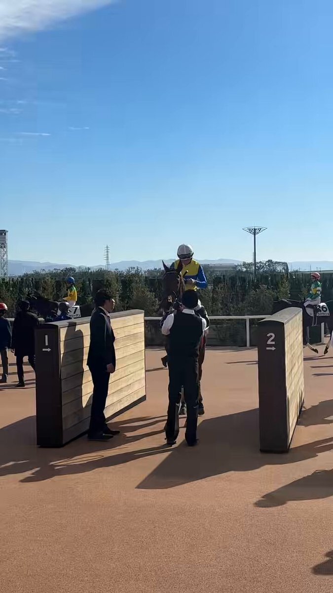 エアビーアゲイル、京都3Rで初勝利！半兄ベラジオオペラに続く活躍なるか